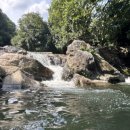 둥굴레펜션 이미지