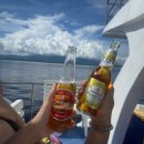 비디오천국 | 시키호르 아포섬 투어 ② | 프리다이빙 산호 거북이 천국