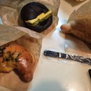 카페시로 | 제주 구좌 카페 자아시로 위치 주차 내부 예약 후기 소금빵 맛집