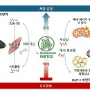 롱제비티