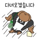 감성있개 이미지