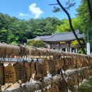 홍룡로 | 경남 양산 가볼만한곳 홍룡사 홍룡폭포 주차장 부산 근교 데이트코스 추천