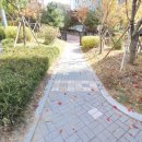 관저어반힐스 이미지