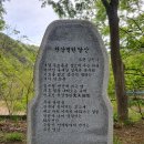 영덕종합정비 | 팔각산 후기