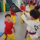 파랑새유치원.어린이집 이미지