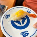 도쿄 가성비 회전초밥 쿠라스시 솔직후기 &amp; 신주쿠 회전초밥 맛집 Kura sushi 웨이팅 및 이용방법 (ft...