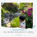 하품여우컴퍼니 | [대구 가창 : 네이처파크] 네이처파크 동물원 200% 즐기는 방법 총정리!