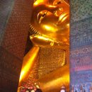 왕실농장 이미지