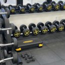 베리핏(VERY FIT) 이미지