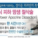 정다운개발