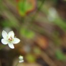 원동재로 이미지