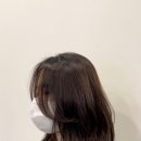 내맘에헤어 네이버블로그