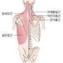 엠휘트니스 네이버블로그