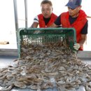 제철별미 이미지