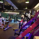 팀비식스 이미지