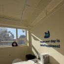 수지애견 | 수지애견유치원·수지애견호텔 찾는다면, 헬로우버디 수지점 체험등원 솔직후기