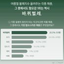 바퀴살충제 캐치맨 잡스 울트라에어로솔, 좁은 틈새까지 완벽하게 공략하는 바퀴벌레 살충제 사용 후기