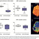 DSC PMRI demonstrates reduced periventricular CBF with ventriculomegaly 이미지