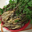 약산초등학교 이미지