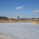 2월 10일 (토요일) 주말도보 ~ 시흥늠내길 2코스(시흥갯골생태공원) 이미지