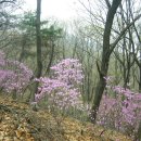 의왕시 모락산(385m) 봄나들이산행 이미지