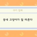 삼월애 이미지