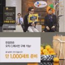 백양루시드 이미지