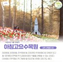 자라섬 관광안내소 네이버블로그