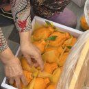 해찬농장 이미지