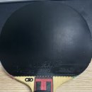 게보 | [탁구러버] [GEWO] 게보 코덱스러버 Pro54(약 점착성러버) 후기
