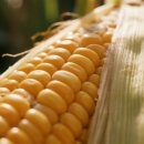 반여시장 이미지