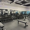 팀마린 휘트니스 이미지