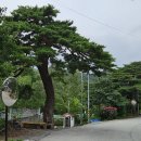 보현사 주차장입구 이미지