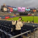 뉴욕 여행 양키스 MLB 야구 경기 직관 후기, 픽패스 할인 예매 방법