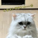 광장스낵
