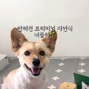 너즐리 이미지