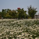 탑정호 수변생태 공원 이미지