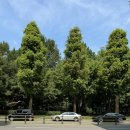 논현로13길 10 (1) 이미지