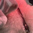 두암동물병원 이미지