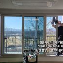 콩깍지 | 천안 불당 아파트유리창청소 후기｜콩깍지클리닝, 제대로 맡겨봤어요