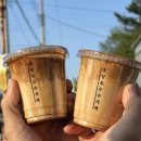 4박 5일 강원도 애견동반 여행 / 크림 라떼 맛집 추천