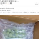 보라농장 이미지