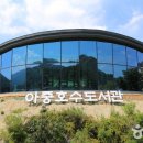 덕진-131 티스토리