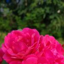 금성종합가스 이미지