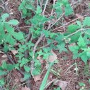 국유림관리사무소 이미지