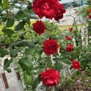 곡성-060 이미지