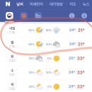 머물인어우림 이미지