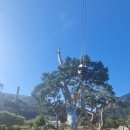 보담농장 이미지