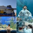 치목마을 공중화장실 | 울산 아이랑 가볼만한 곳 장생포 고래생태체험관 모노레일 예약 예매 시간 주차 후기