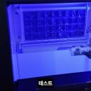 남현동-21 이미지